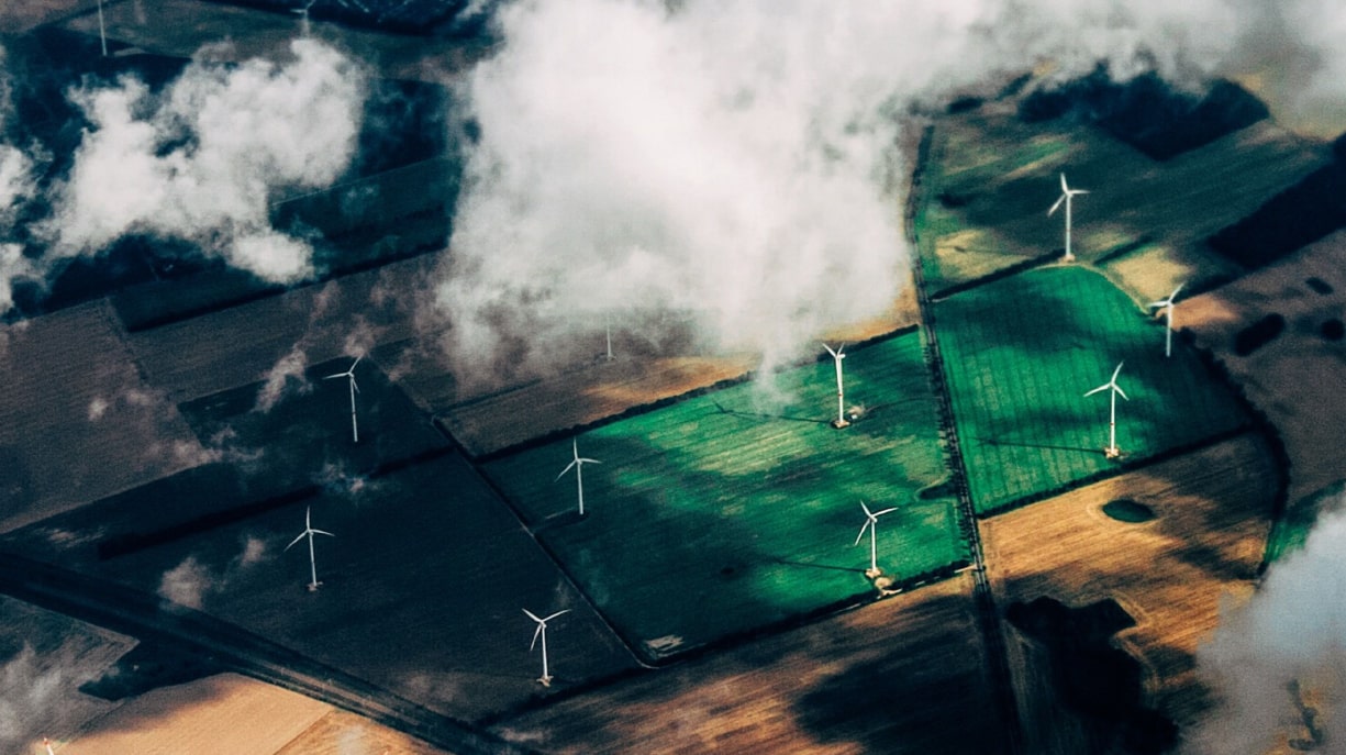 www.tpximpact.commediaqwzjpxj0driving-climate-action-with-a-sustainable-web-build